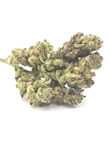 WHITE WIDOW Hybrid - Image 3