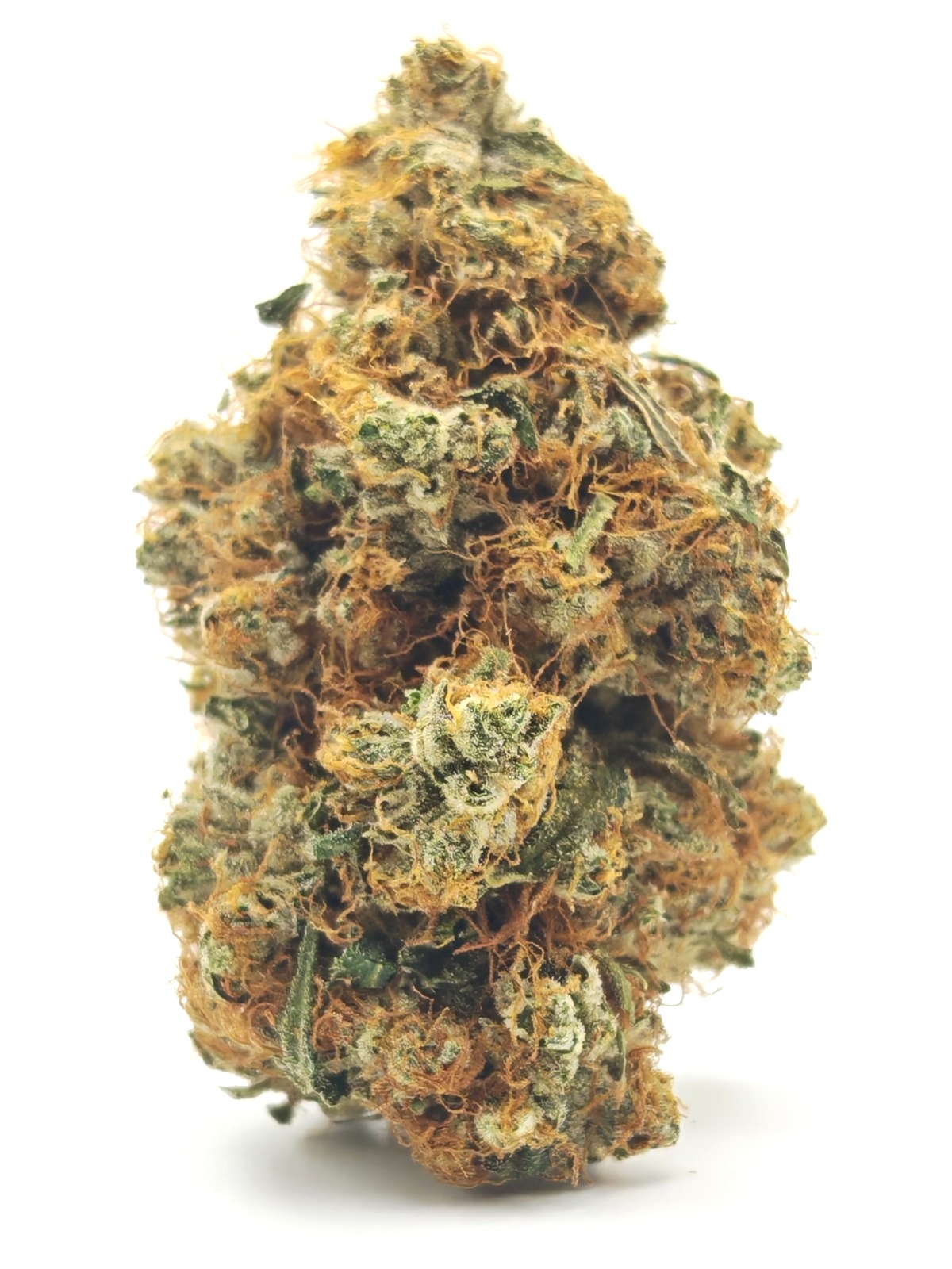 TANGELATO Hybrid - Image 3
