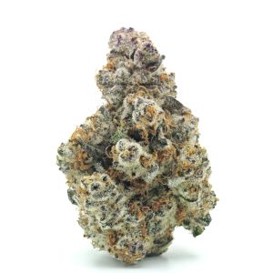 PURPLE PAPAYA Indica Hybrid