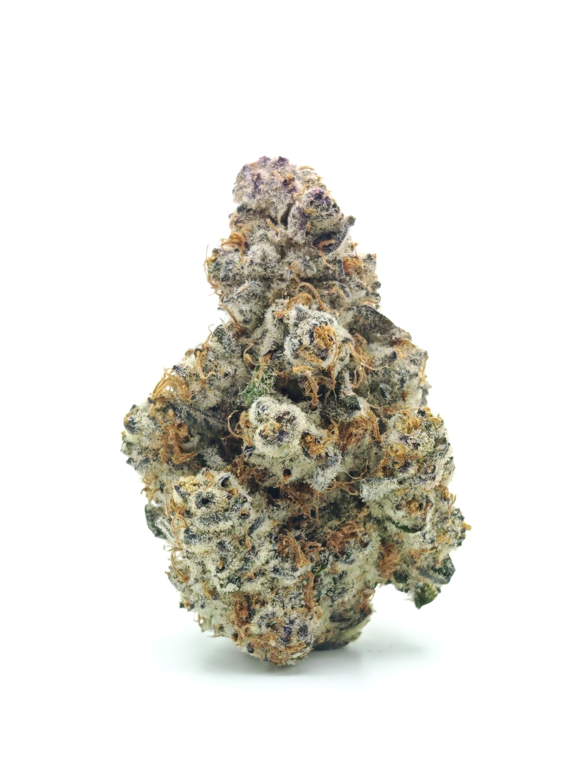 PURPLE PAPAYA Indica Hybrid