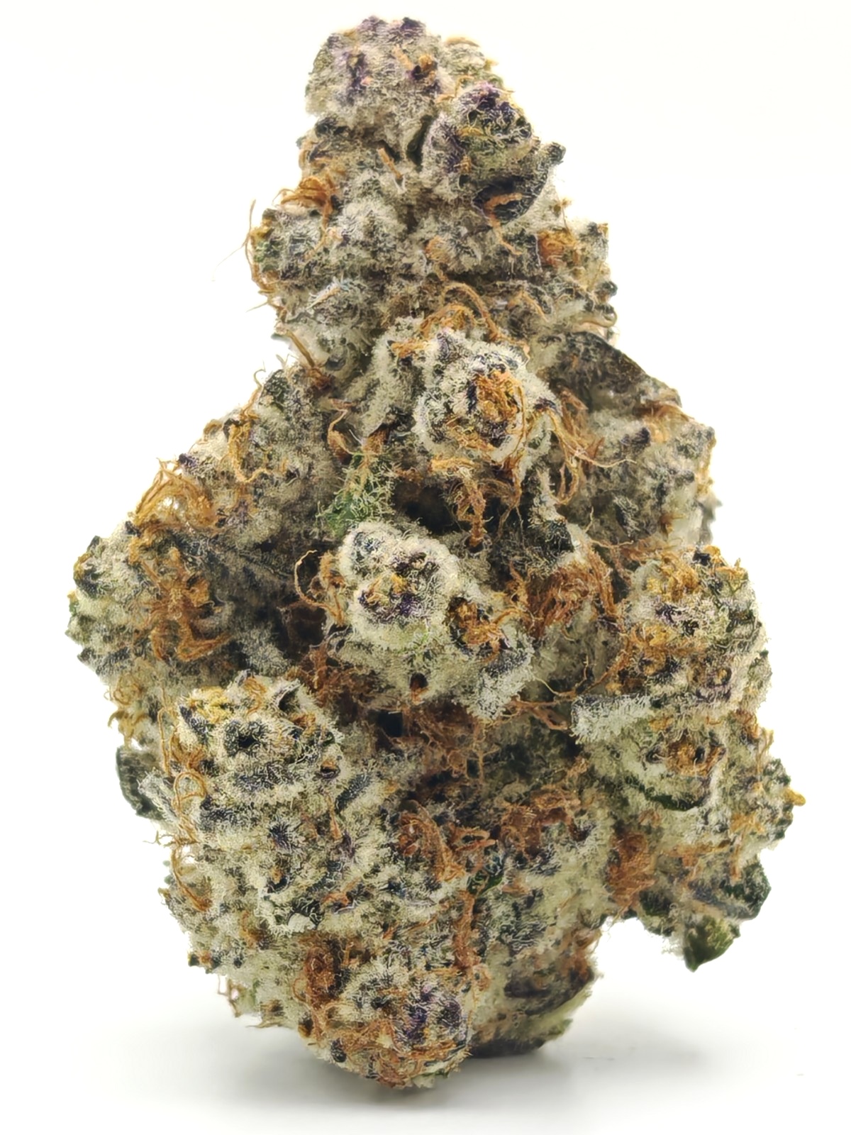 PURPLE PAPAYA Indica Hybrid - Image 2