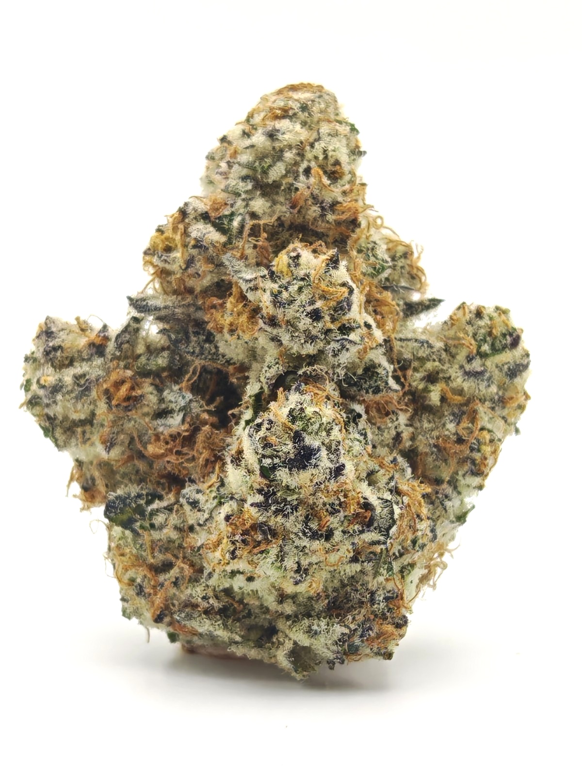 PURPLE PAPAYA Indica Hybrid - Image 3